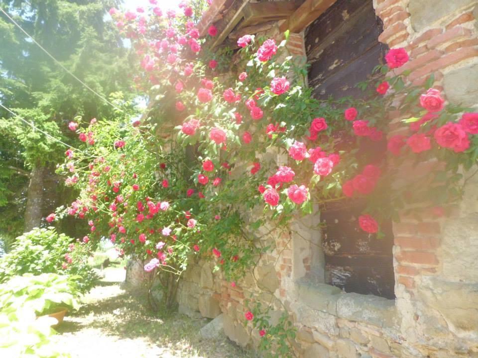 Bottega Di Montegiovi Hotell Scopeti Eksteriør bilde